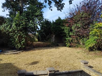 Picture 15